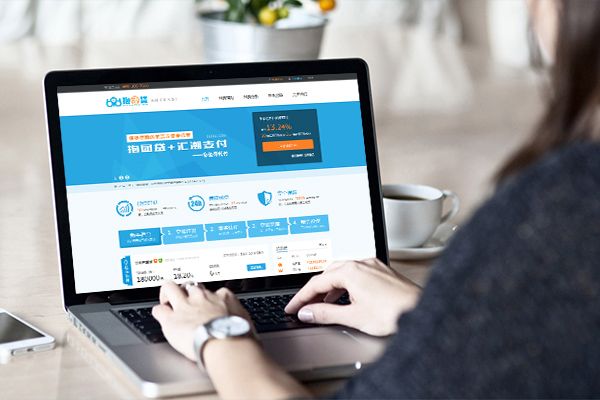 贷款平台开发网站建设制作案例