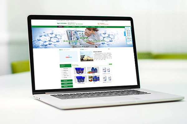 美国迈安达国际集团网站建设制作案例