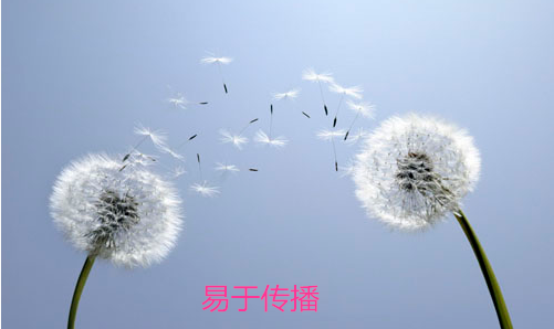 微商在新媒体销售产品需满足的六个特点