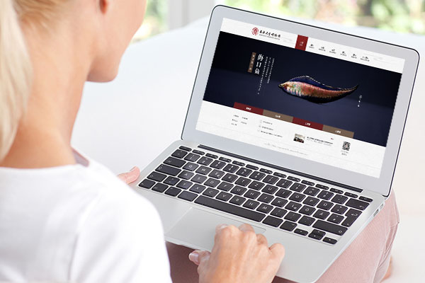 西北大学博物馆网站建设制作案例